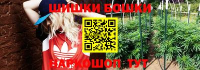 индика Конаково