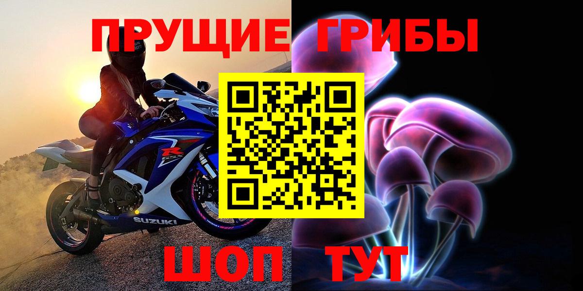 Галлюциногенные грибы GOLDEN TEACHER Чапаевск